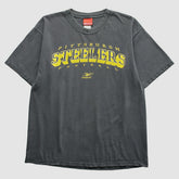 Pittsburgh Steelers Reebok 2000s T-Shirt - Gray T-shirts