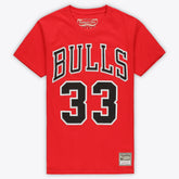 Scottie Pippen Chicago Bulls Unisex Hardwood Classics Name & Number T-Shirt Red - Mitchell & Ness outlet