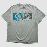 Jacksonville Jaguars Lee Apparel 2000s T-shirt - Heather Gray T-shirts