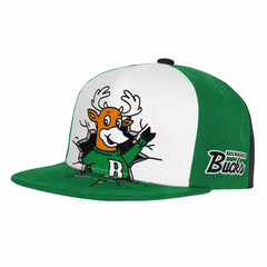 Milwaukee Bucks Youth Mascot Snapback Hat Green - Mitchell & Ness