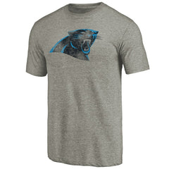 Carolina Panthers Distressed Team T-Shirt - Ash T-shirts