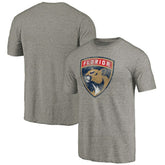 Florida Panthers New Logo Tri-Blend T-Shirt - Gray | US 2486974