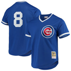 Andre Dawson Chicago Cubs Mitchell & Ness Authentic Batting Practice Jersey - Royal Jerseys