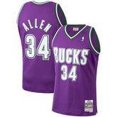 Ray Allen Milwaukee Bucks 2000/01 Hardwood Classics Swingman Jersey Purple - Mitchell & Ness