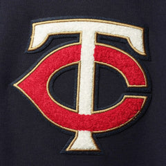 Minnesota Twins Pro Standard Team Logo Pullover Hoodie - Navy Hoodies