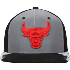 Chicago Bulls Day 5 Snapback Hat Silver/Gray - Mitchell & Ness