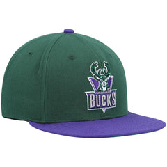 Milwaukee Bucks Hardwood Classics Team Two-Tone 2.0 Snapback Hat Green/Purple - Mitchell & Ness