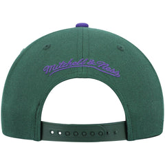 Milwaukee Bucks Hardwood Classics Team Two-Tone 2.0 Snapback Hat Green/Purple - Mitchell & Ness