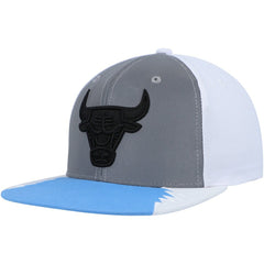 Chicago Bulls Day 5 Snapback Hat Silver/Blue - Mitchell & Ness