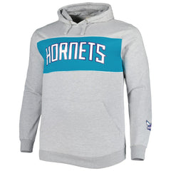 Charlotte Hornets Big & Tall Wordmark Pullover Hoodie Heather Gray - Fanatics