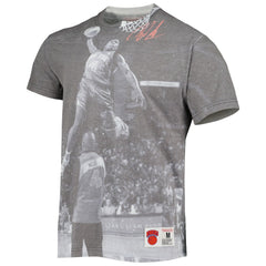 Nate Robinson New York Knicks Above The Rim T-Shirt Gray - Mitchell & Ness
