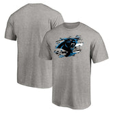 Carolina Panthers True Color T-Shirt - Heather Gray T-shirts