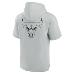 Chicago Bulls Unisex Elements Super Soft Fleece Short Sleeve Pullover Hoodie Gray - Fanatics