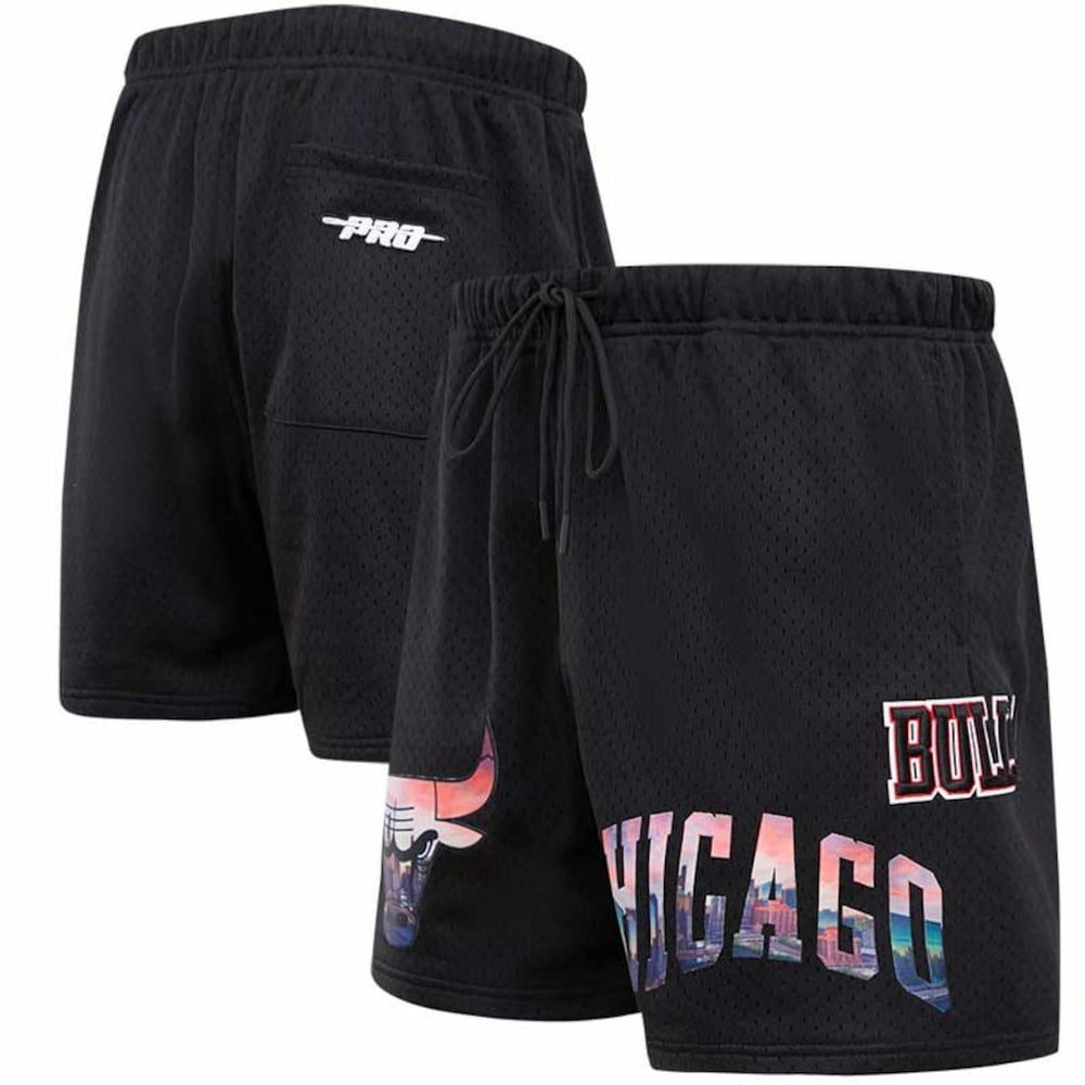 Chicago Bulls Pro Standard City Scape Mesh Shorts Black outlet