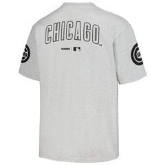 Chicago Cubs PLEASURES Team T-Shirt - Gray T-shirts
