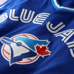 Joe Carter Toronto Blue Jays Mitchell & Ness Authentic Batting Practice Jersey - Royal Jerseys