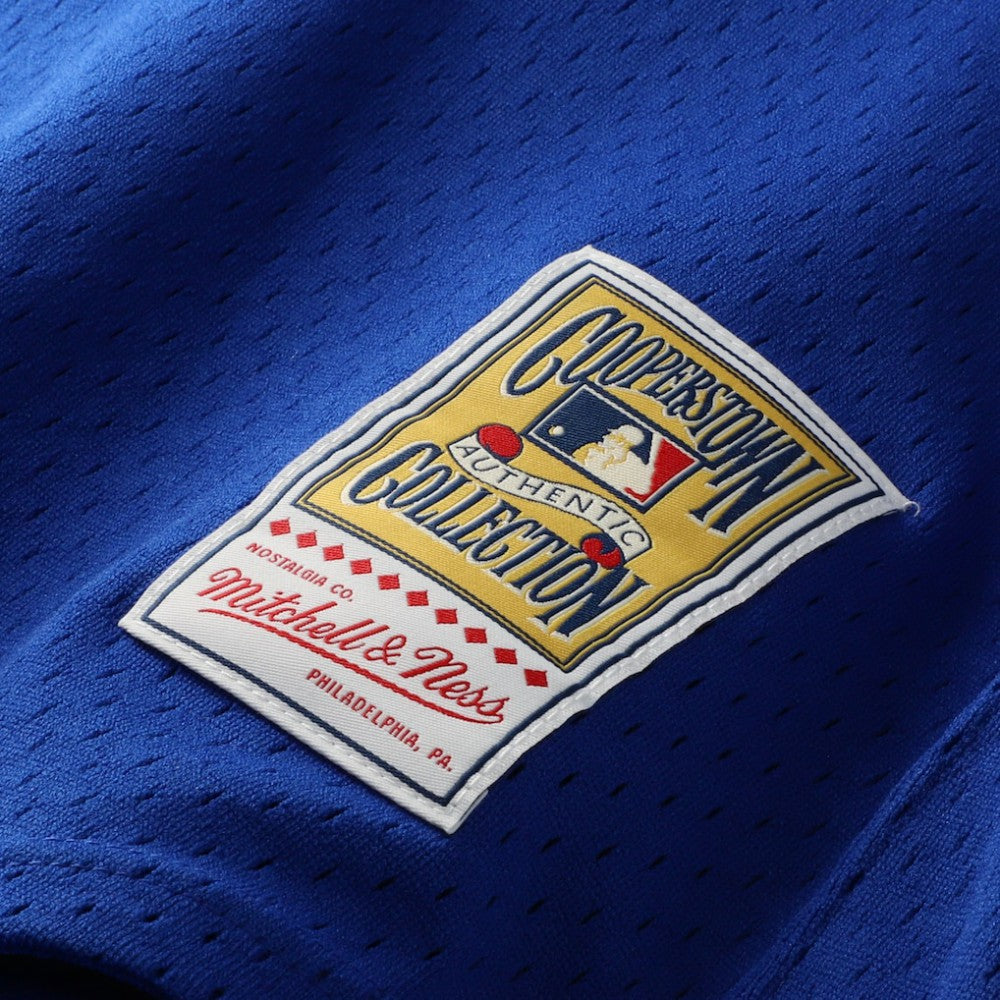 Joe Carter Toronto Blue Jays Mitchell & Ness Authentic Batting Practice Jersey - Royal Jerseys