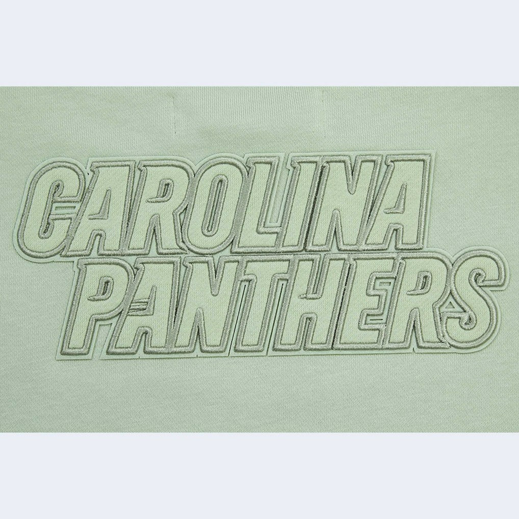 Carolina Panthers Pro Standard Women's Oversized Cropped Neutral Pullover Sweatshirt - Light Green Pullover