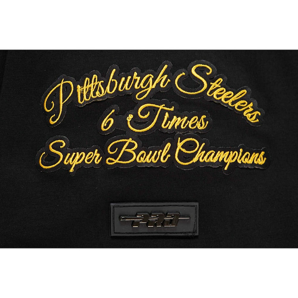 Pittsburgh Steelers Pro Standard Hybrid T-Shirt - Black T-shirts