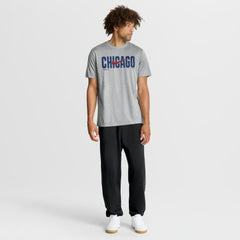 Chicago Cubs Nike Swoosh Legend Dri-FIT T-Shirt - Heather Gray T-shirts