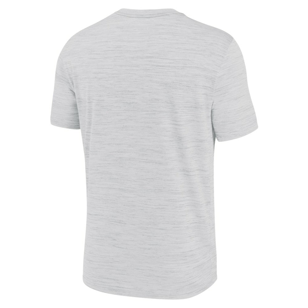 Tampa Bay Rays Nike Authentic Collection Velocity Performance Practice T-Shirt - Ash T-shirts