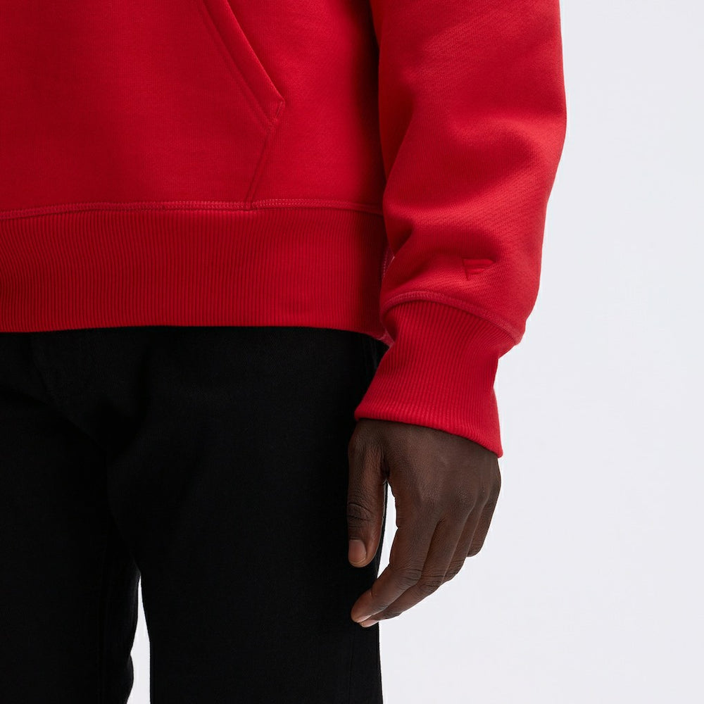 San Francisco 49ers IconicFleece Flocked Hoodie - Scarlet Hoodies
