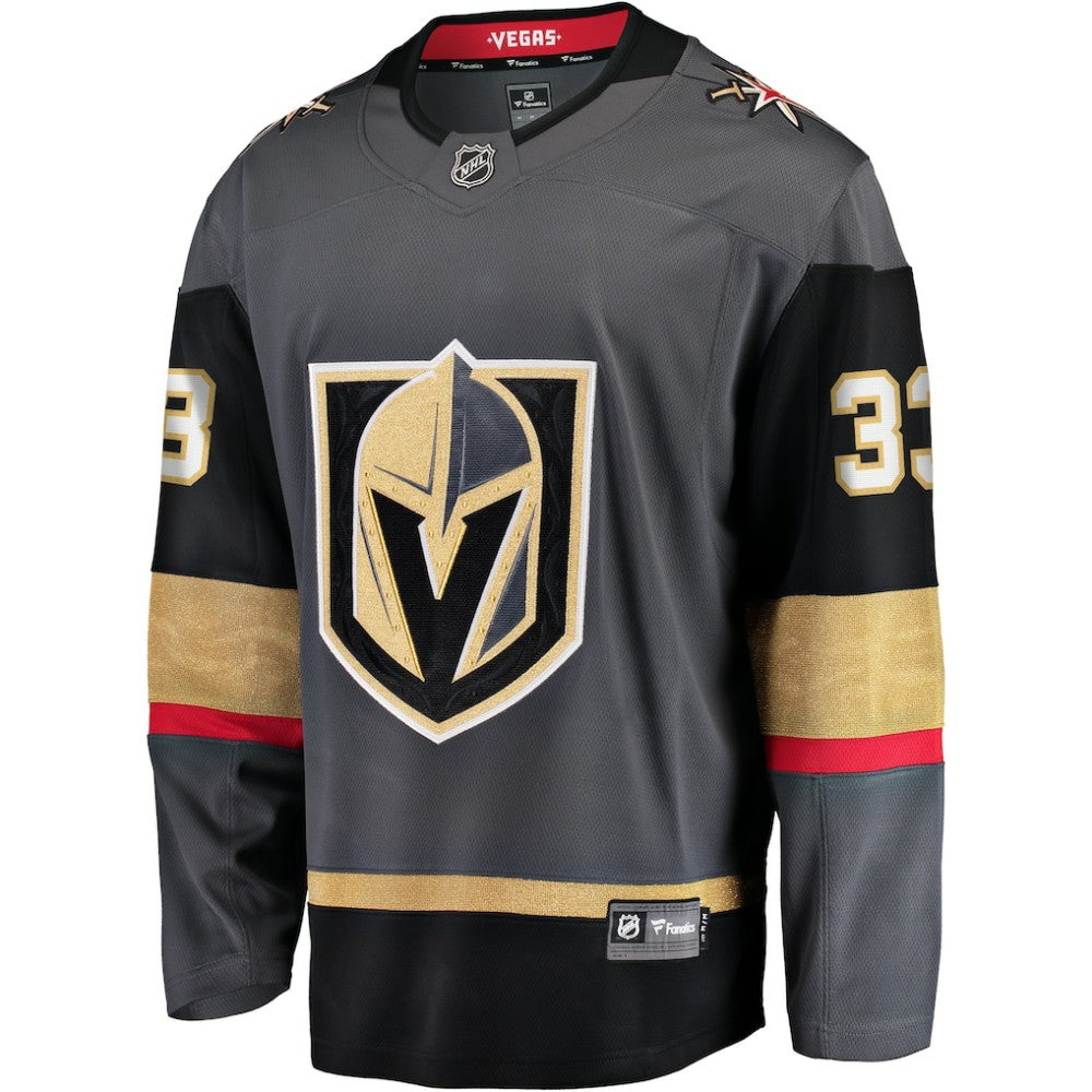 Adin Hill Vegas Golden Knights Fanatics Alternate Breakaway Jersey - Gray | US 200276706
