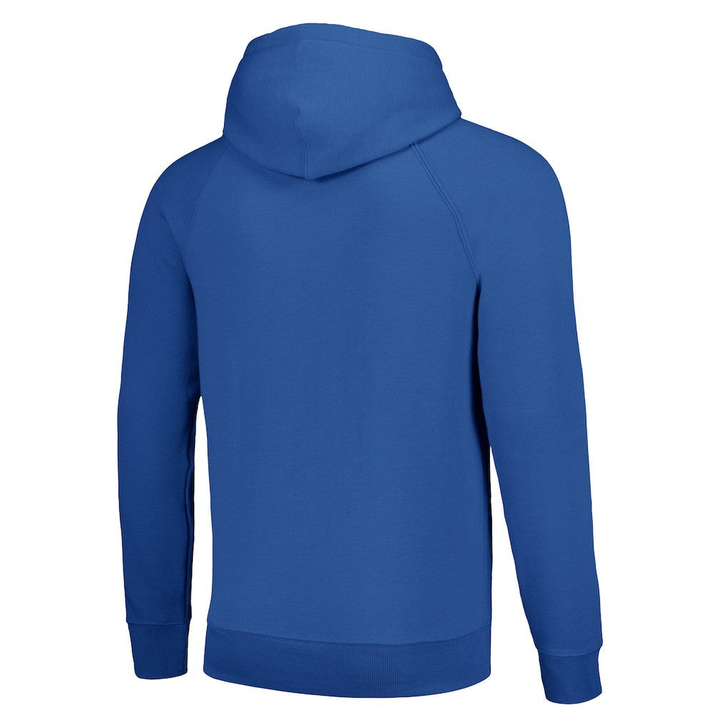 Dallas Cowboys Homage Unisex Hyperlocal Raglan Pullover Hoodie - Royal Hoodies