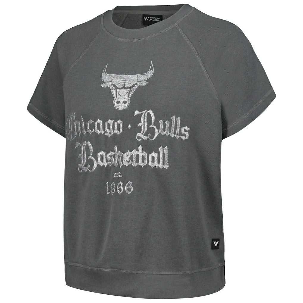 Chicago Bulls The Wild Collective Women's Embroidered Fleece Raglan Short Sleeve Pullover Sweatshirt Gray