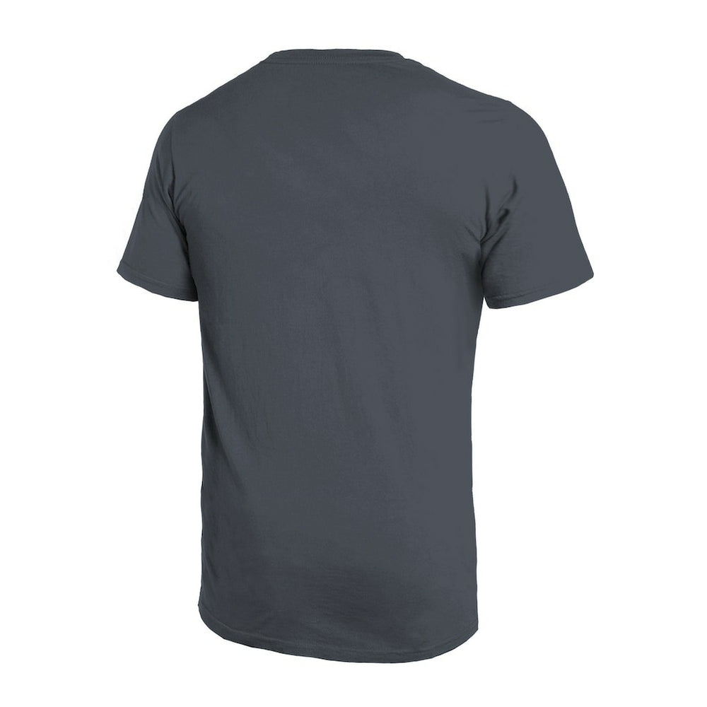 Atlanta Falcons Majestic Threads Sundays Skyline T-Shirt - Gray T-shirts