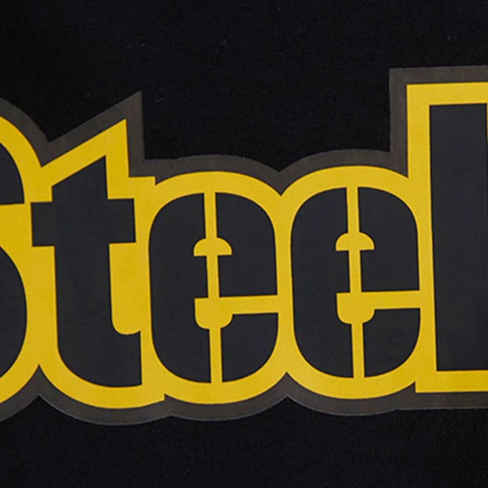 Pittsburgh Steelers Pro Standard Classic Chenille Shorts - Black Shorts