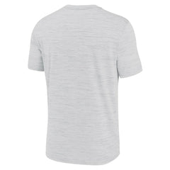 Baltimore Ravens Blitz Velocity Modern Dri-FIT T-Shirt - Ash T-shirts