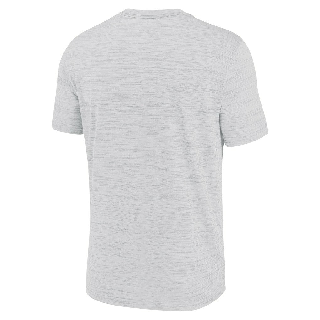 Miami Dolphins Blitz Velocity Modern Dri-FIT T-Shirt - Ash T-shirts