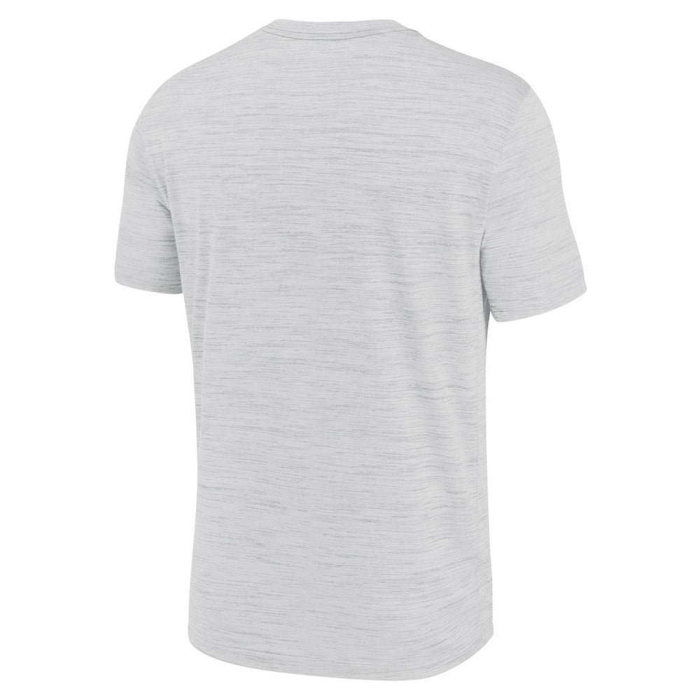 Miami Dolphins Blitz Velocity Modern Dri-FIT T-Shirt - Ash T-shirts