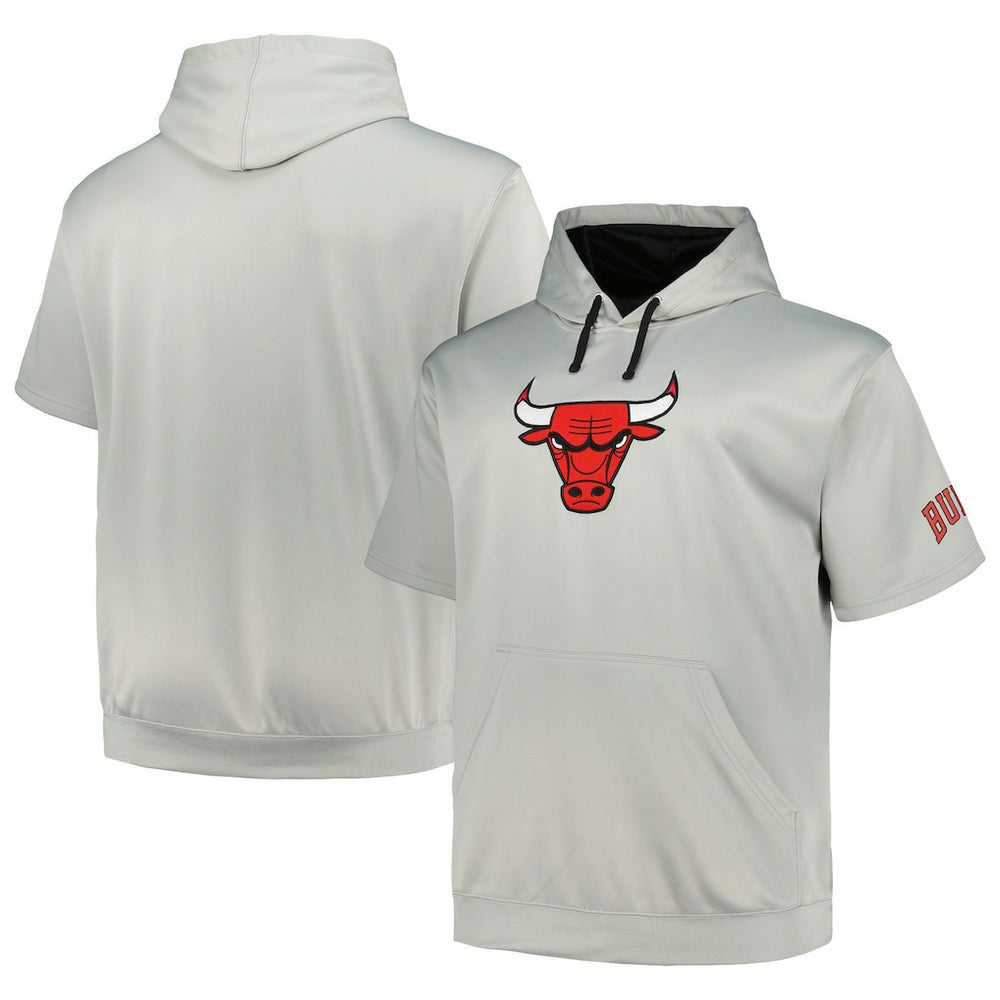 Chicago Bulls Big & Tall Logo Pullover Hoodie Silver - Fanatics