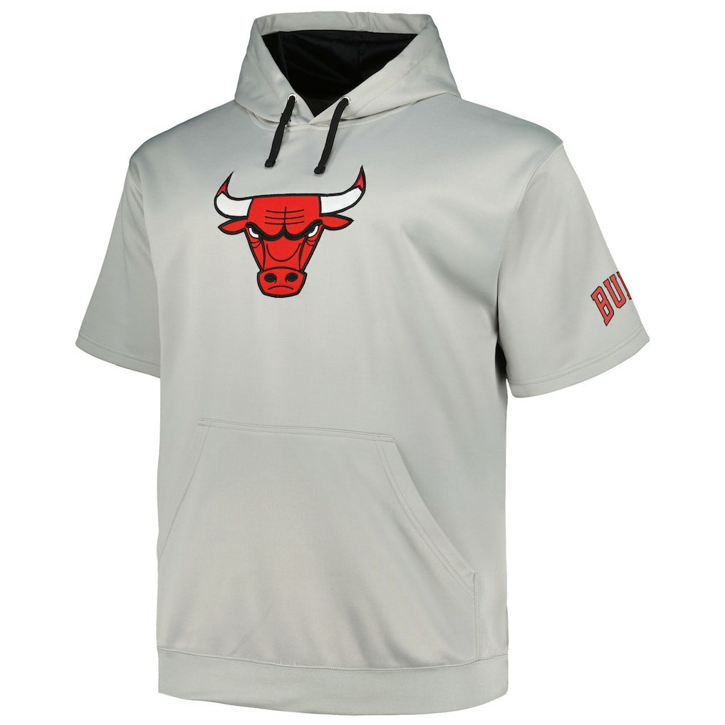 Chicago Bulls Big & Tall Logo Pullover Hoodie Silver - Fanatics