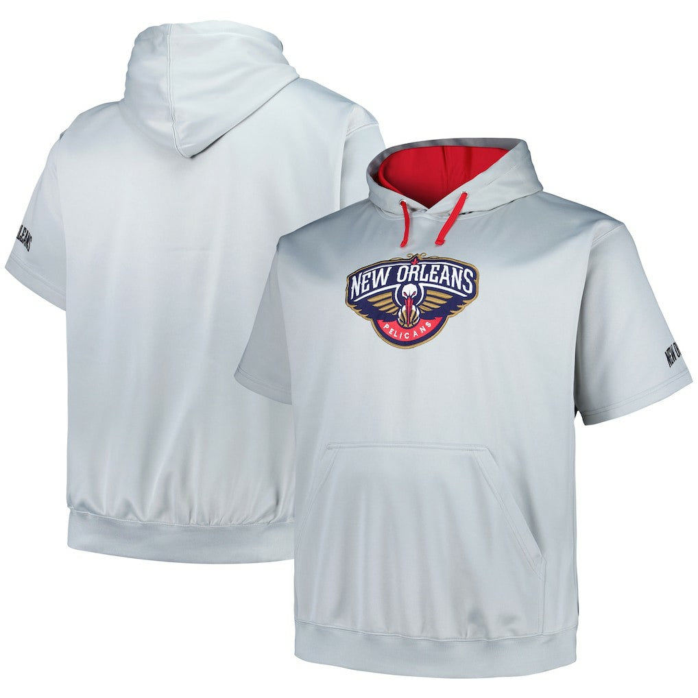 New Orleans Pelicans Big & Tall Logo Pullover Hoodie Silver - Fanatics