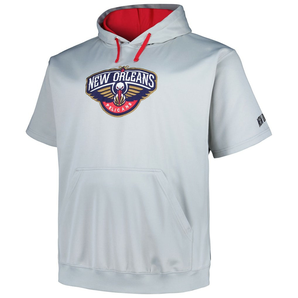 New Orleans Pelicans Big & Tall Logo Pullover Hoodie Silver - Fanatics
