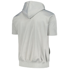 Phoenix Suns Big & Tall Logo Pullover Hoodie Silver - Fanatics