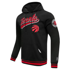 Toronto Raptors Pro Standard Script Tail Pullover Hoodie Black outlet