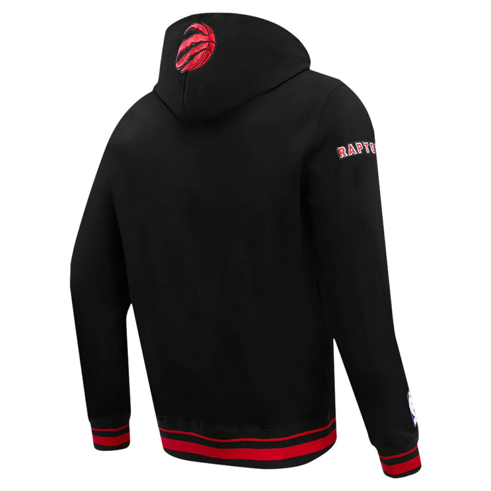 Toronto Raptors Pro Standard Script Tail Pullover Hoodie Black outlet