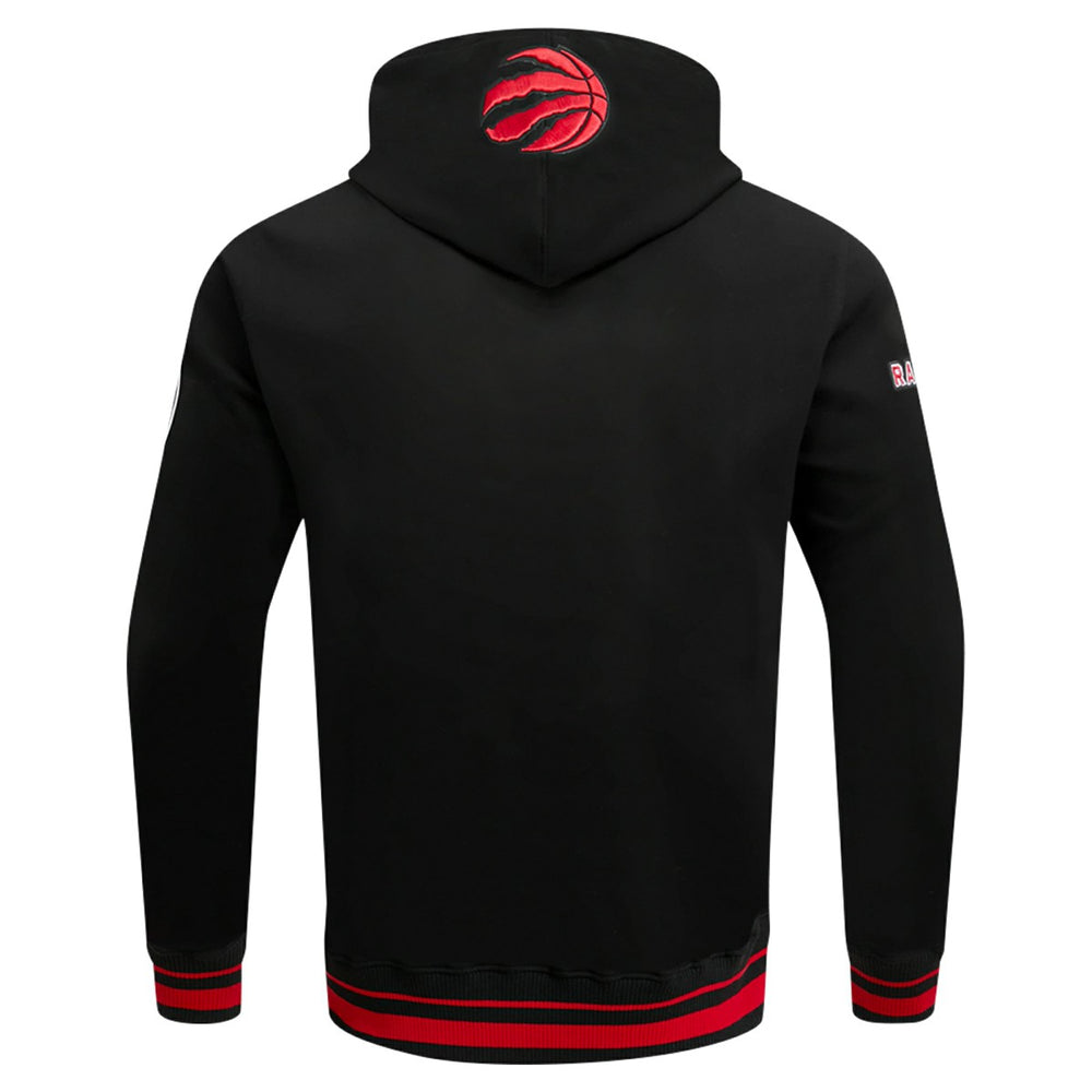 Toronto Raptors Pro Standard Script Tail Pullover Hoodie Black outlet