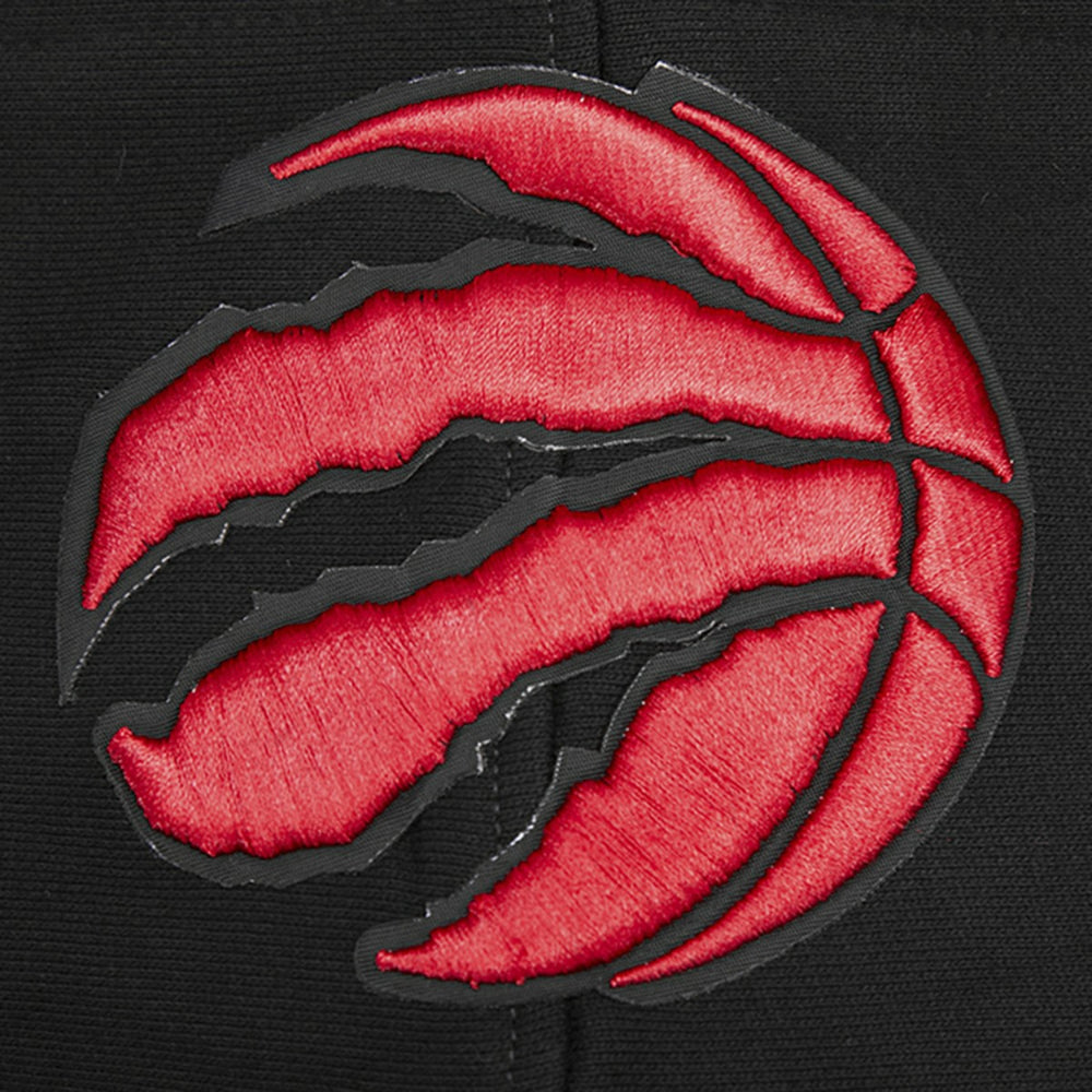 Toronto Raptors Pro Standard Script Tail Pullover Hoodie Black outlet