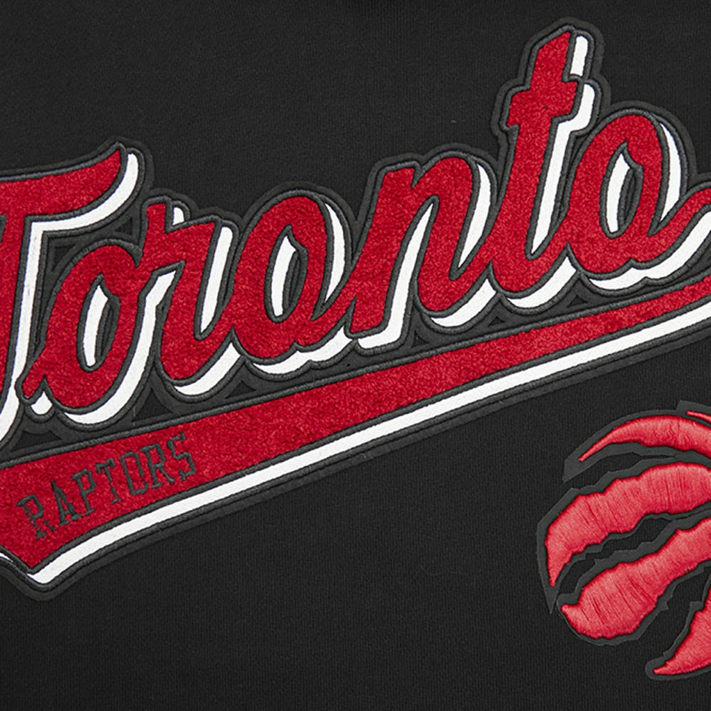 Toronto Raptors Pro Standard Script Tail Pullover Hoodie Black outlet