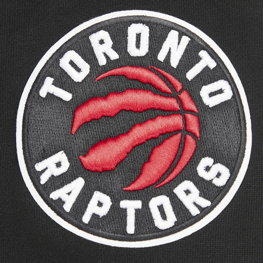Toronto Raptors Pro Standard Script Tail Pullover Hoodie Black outlet