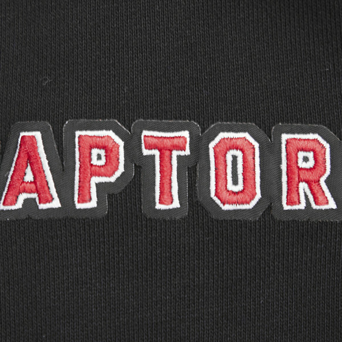 Toronto Raptors Pro Standard Script Tail Pullover Hoodie Black outlet