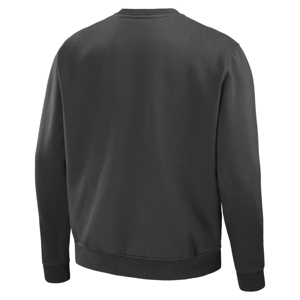Toronto Raptors NBA x Staple Plush Pullover Sweatshirt Anthracite