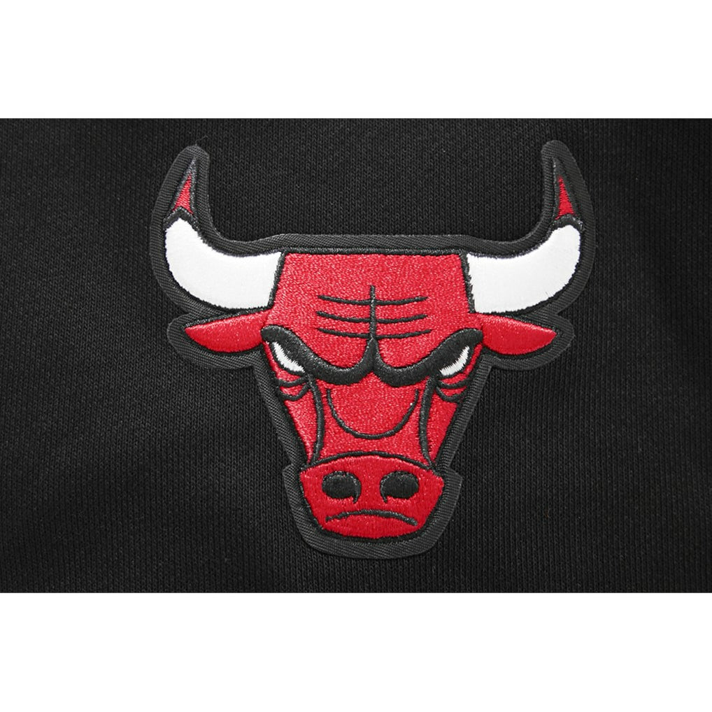 Chicago Bulls Pro Standard Women's 2023/24 City Edition Cropped Pullover Hoodie Black