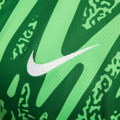 Paris Saint-Germain 2024/25 Goalkeeper Replica Stadium Long Sleeve Jersey Green - Nike outlet