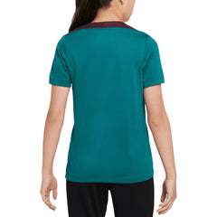 Paris Saint-Germain Youth 2024/25 Strike Training Top Teal - Nike discount